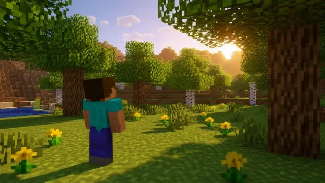 Forest Clearing scene background