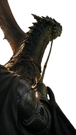 Knight and dragon vertical transparent sprite