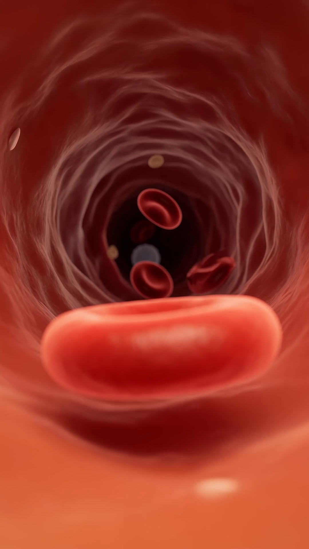 Image de la vidéo finale — Temps 3 (7-12 s) : l'embouchure du capillaire qui grandit dans le cadre