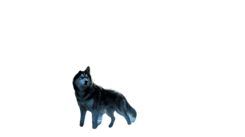 Der Husky — transparentes Sprite vom Cover