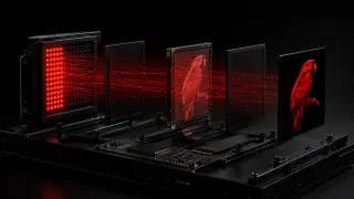 參考 — 01-red-flow-field