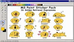 Golden Retriever — 16