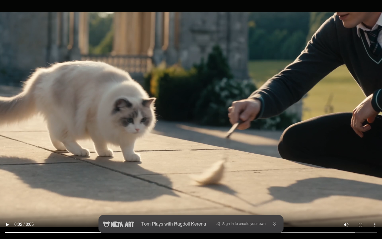 Tom Plays with Ragdoll Kerena frame 0:02 — the pounce