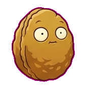 Wall-nut